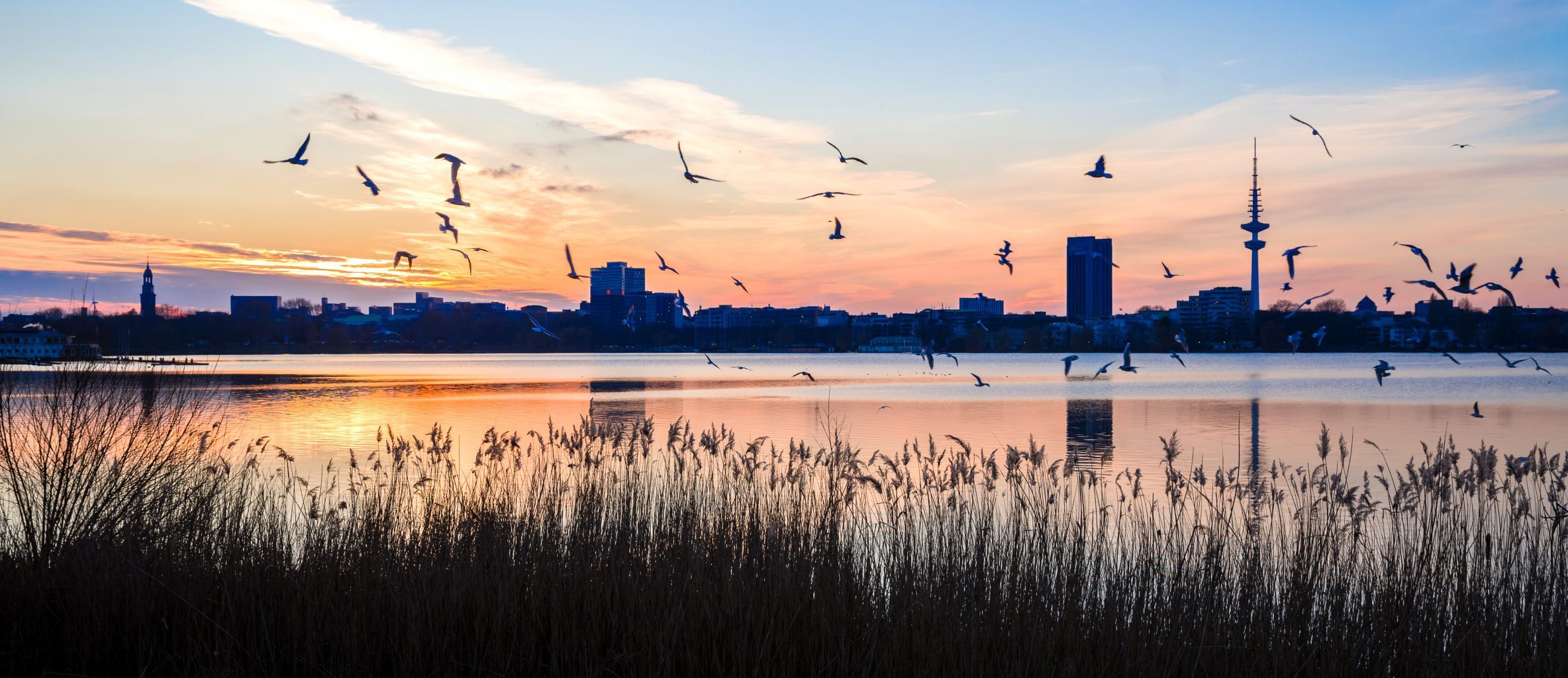 Die Hausverwaltung Karsten Langenhan in Hamburg